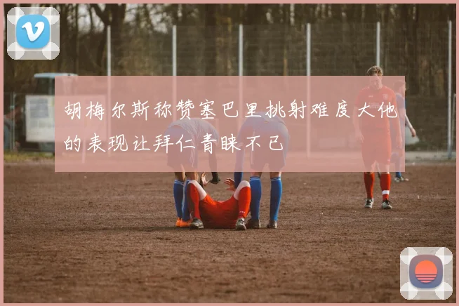 胡梅尔斯称赞塞巴里挑射难度大他的表现让拜仁青睐不已